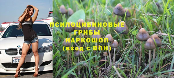 прущие крисы Алексин