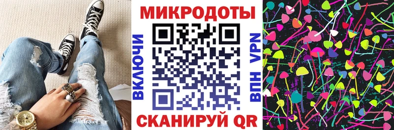 Галлюциногенные грибы Psilocybe Калининск